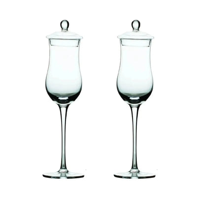 Lot de 2 Verres à Whisky avec Couvercle